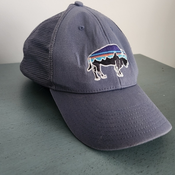 Patagonia Fitz Roy Trout Trucker Hat for Mens - Picture 2 of 9